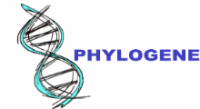 https://global-engage.com/wp-content/uploads/2023/09/Phylogene logo.jpg